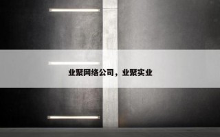业聚网络公司，业聚实业