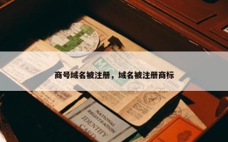 商号域名被注册，域名被注册商标