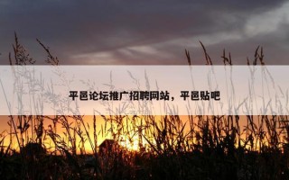 平邑论坛推广招聘网站，平邑贴吧