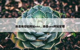 南昌有经验网站seo，南昌seo网站管理