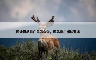 国企网站推广员怎么做，网站推广岗位要求