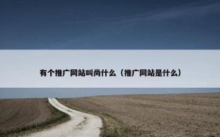 有个推广网站叫尚什么（推广网站是什么）