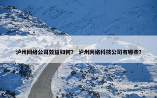 泸州网络公司效益如何？ 泸州网络科技公司有哪些？