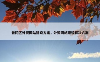 普陀区外贸网站建设方案，外贸网站建设解决方案