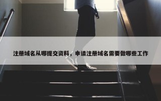 注册域名从哪提交资料，申请注册域名需要做哪些工作