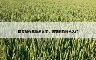 网页制作基础怎么学，网页制作技术入门