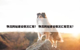 物流网站建设情况汇报？ 物流网站建设情况汇报范文？