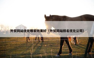 外贸网站优化哪家效果好（外贸网站排名优化公司）
