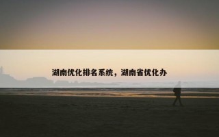 湖南优化排名系统，湖南省优化办