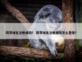 网页域名注册成功？ 网页域名注册成功怎么登录？
