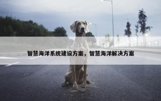 智慧海洋系统建设方案，智慧海洋解决方案