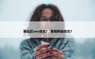 莱山区seo优化？ 莱阳网站优化？