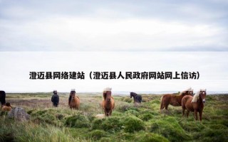 澄迈县网络建站（澄迈县人民政府网站网上信访）