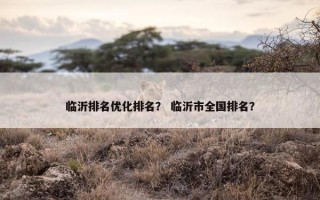 临沂排名优化排名？ 临沂市全国排名？