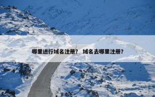 哪里进行域名注册？ 域名去哪里注册？