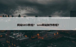 网站SEO教程？ seo网站制作教程？