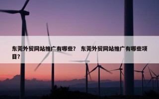 东莞外贸网站推广有哪些？ 东莞外贸网站推广有哪些项目？