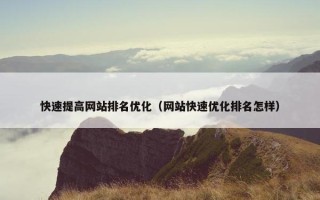 快速提高网站排名优化（网站快速优化排名怎样）