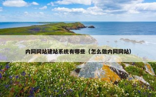 内网网站建站系统有哪些（怎么做内网网站）