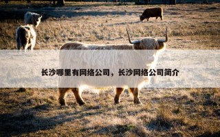 长沙哪里有网络公司，长沙网络公司简介