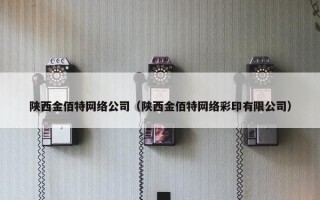 陕西金佰特网络公司（陕西金佰特网络彩印有限公司）