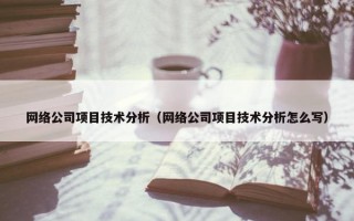 网络公司项目技术分析（网络公司项目技术分析怎么写）