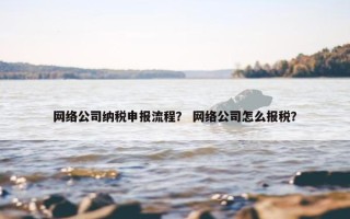 网络公司纳税申报流程？ 网络公司怎么报税？