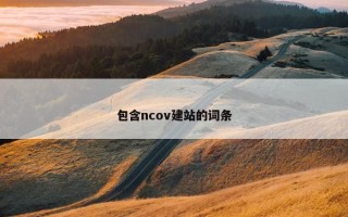 包含ncov建站的词条