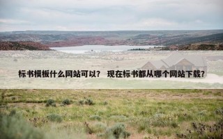 标书模板什么网站可以？ 现在标书都从哪个网站下载？