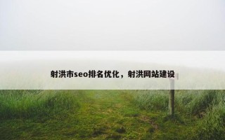 射洪市seo排名优化，射洪网站建设