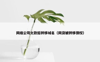 网络公司欠款后转移域名（网贷被转移债权）
