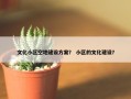 文化小区空地建设方案？ 小区的文化建设？