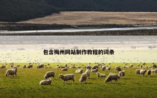 包含梅州网站制作教程的词条