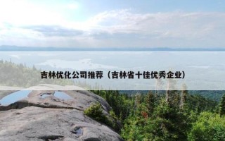 吉林优化公司推荐（吉林省十佳优秀企业）