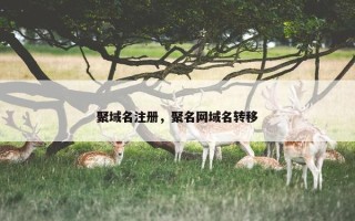 聚域名注册，聚名网域名转移