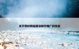 关于铁岭网站建设制作推广的信息