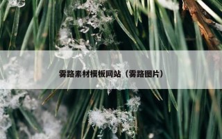 雾路素材模板网站（雾路图片）