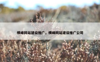 横峰网站建设推广，横峰网站建设推广公司