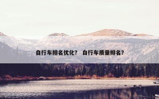自行车排名优化？ 自行车质量排名？