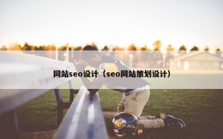 网站seo设计（seo网站策划设计）