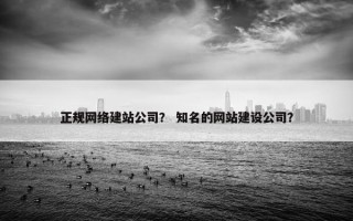 正规网络建站公司？ 知名的网站建设公司？