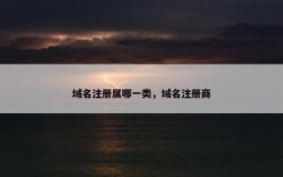 域名注册属哪一类，域名注册商