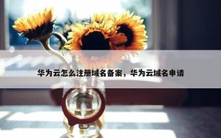 华为云怎么注册域名备案，华为云域名申请