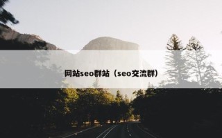 网站seo群站（seo交流群）