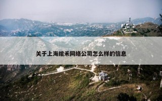 关于上海绾禾网络公司怎么样的信息