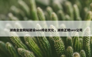 湖南企业网站建设seo排名优化，湖南正规seo公司
