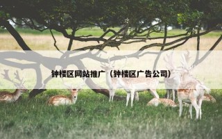 钟楼区网站推广（钟楼区广告公司）