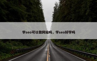 学seo可以做网站吗，学seo好学吗