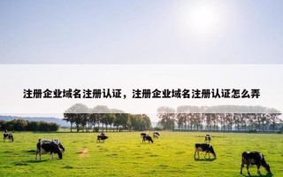 注册企业域名注册认证，注册企业域名注册认证怎么弄