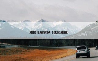 成优化哪家好（优化成绩）